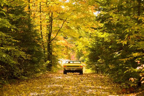 scenic autumn drives engineered for maximum leaf peeping roadtrippers