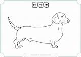 Coloring Dachshund Pages Dog Printable Puppy Weiner Color Getdrawings Getcolorings Print Colorings sketch template