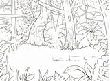 Jungle Giungla Foresta Selva Bosque Fumetto Wildernis Illustrazione sketch template