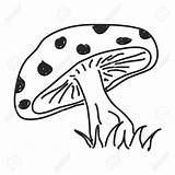 Toadstool Drawing Simple Getdrawings sketch template