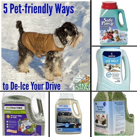pet safe ways  remove ice petsweeklycom