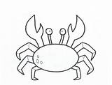 Crab Coloring Printable Outline Pages Template Drawing Baby Kids Clipart Print Horseshoe Sebastian Colouring Simple Color Animals Sheets Crustacean Animal sketch template