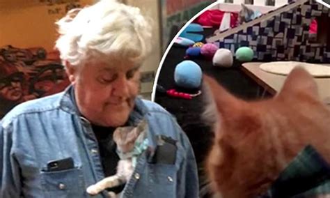 jay leno hosts christmas fundraiser for cat rescue charity