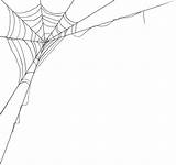 Spiderweb Cobweb Yopriceville Webs Teia Aranha Eucalyptus sketch template