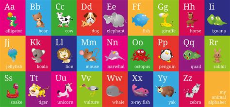 procedure animal alphabet