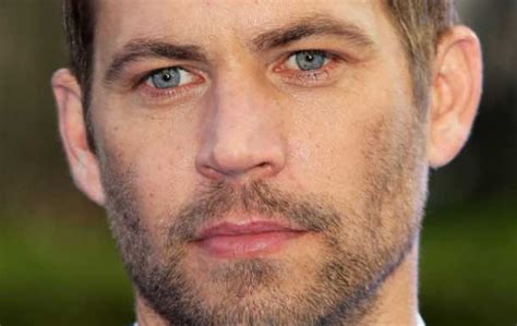 netnewsledger paul walker dead