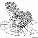 Frogs Zentangle sketch template