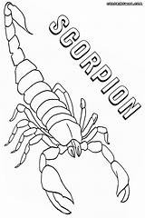 Scorpion Coloring Coloringway sketch template