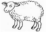 Sheep Kids Clipart Library Colouring Printable Pages sketch template