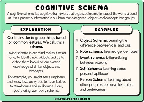 schema examples  learning psychology   schema  learning  meaningful