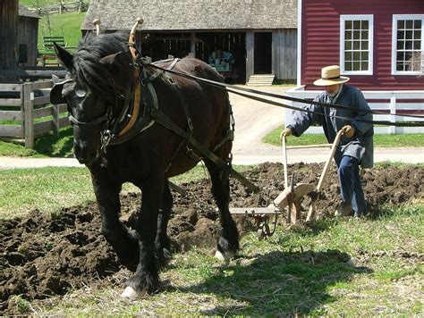 rural blacksmith fresh tilled soil    horse drawn plow