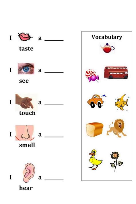 activities    senses  preschool sheet learning printable