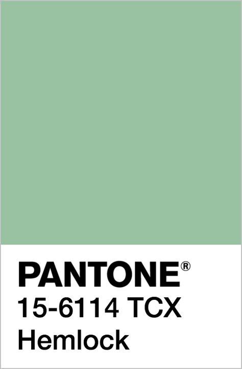 pin  lily novak     pinterest pantone pantone color  color pallets
