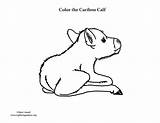 Caribou Calf Sponsors sketch template