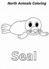 Coloring Seal Baby Animals Arctic Pages Color Kidsplaycolor Kids Popular Animal sketch template