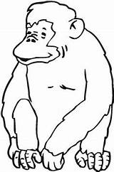 Chimpanzee Laughing sketch template