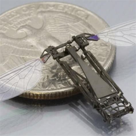 fly sized drone  micro energy  buzz design de produto