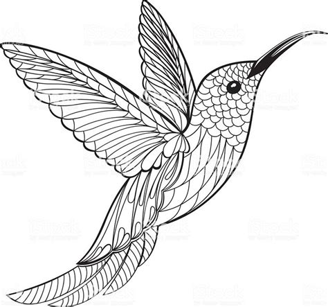 coloring page hummingbird kolibrie tekening vogels tekenen