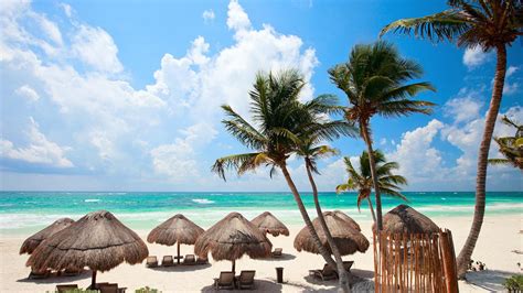 hotels in quintana roo state mexico tu hotel en