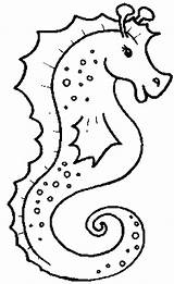 Coloring Sea Animals Seahorse Pages Animal Realistic Printable Drawing Water Sheets Life Creatures Imaginary Marine Ocean Under Creature Print Kids sketch template