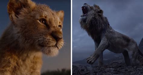 disney finally drops the lion king remake s first glorious trailer