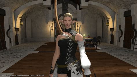 alexis pride blog entry `elezen and elvaan differences ` final