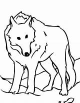 Wolf Coloring Pages Cried Boy Who Printable Arctic Face Colouring Drawing Animal Jam Kids Clipart Pack Color Wolves Getcolorings Cute sketch template