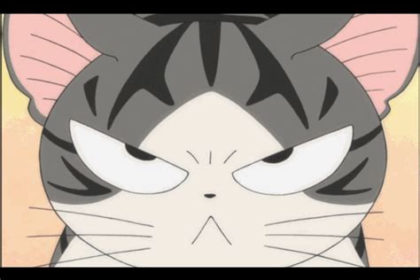 grumpy cat anime gif wifflegif
