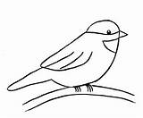 Chickadee Bird Coloring Drawing Pages Draw State Printable Maine Clipartbest Line Simple Getdrawings Clipartmag Clipart 26kb 496px sketch template
