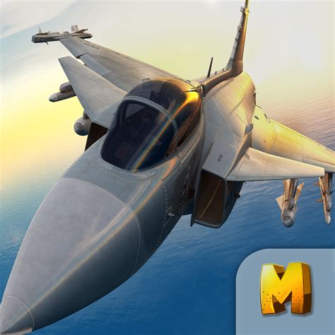 jet fighter air strike simulator  role playing