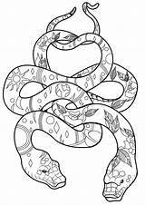 Coloring Snakes Pages Cool Two Snake Adult Animals Print Popular Coloringbay sketch template