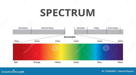 visible spectrum color electromagnetic spectrum  visible   human eye infographic