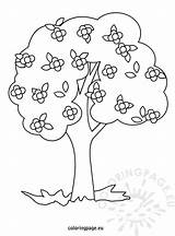 Coloring Tree Flowers Pages Trees Spring Flower Kids Coloringpage Eu Flowering Primavera Ziyaret Et sketch template