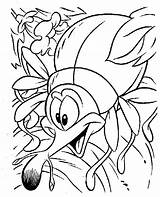 Coloring Dung Beetle Print Animals Color Designlooter Pages Kids Krokotak 35kb sketch template