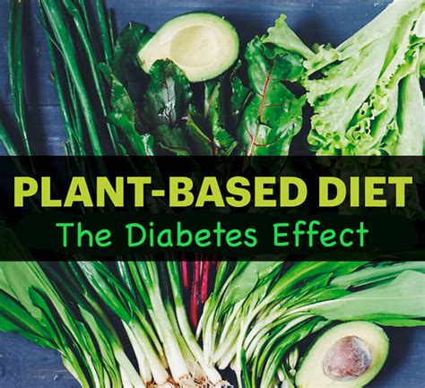 plant based diets  diabetes