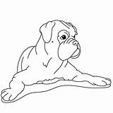 Boxer Coloring Pages Dog Puppy Spread Hand His Family Printable Color Getcolorings Template sketch template