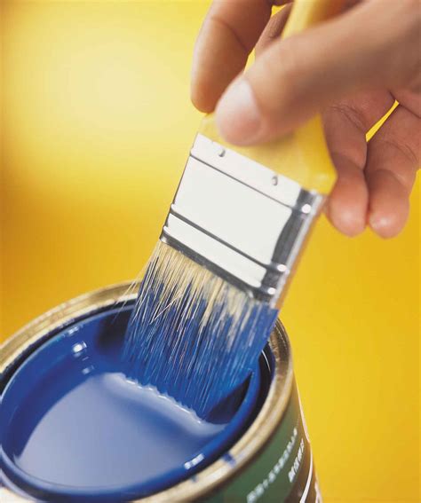 cleaning storage  paint brushes rollers gt painters sydney