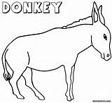 Donkey Coloring Pages Donkeys Burro Preschool Print Getdrawings Drawing sketch template
