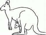 Coloring Australian Animals Pages Popular sketch template