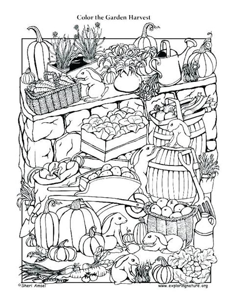 garden harvest fall coloring pages  coloring pages