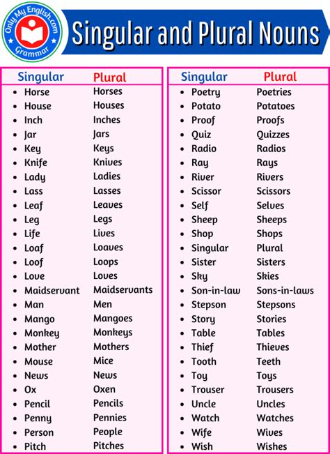 huge list  singular  plural nouns words onlymyenglishcom