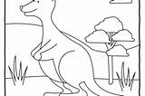 Brisbane Coloring Colouring Pages Kids Designlooter Australian Animals Printable 92kb 486px sketch template