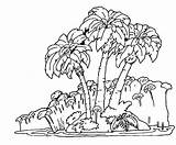Rainforest Jungle Tree Tropical Drawing Easy Plants Coloring Trees Forest Rain Getdrawings Scene sketch template