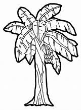Banana Tree Clipart Coloring Plant Pages Clip Library Insertion Codes sketch template