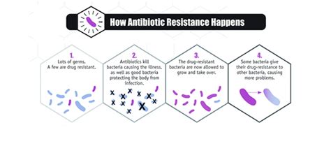 antibiotic antimicrobial resistance cdc