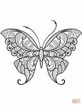 Coloring Butterfly Zentangle Pages Paper Drawing sketch template