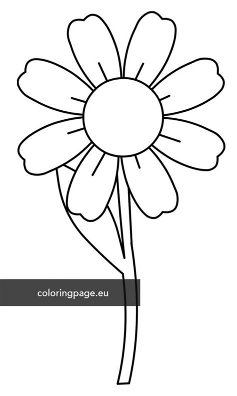 daisy flower template coloring page