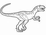 Colorir Dinossauro Desenhos Dinossauros Majungasaurus sketch template
