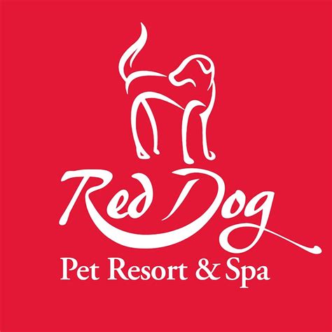 red dog pet resort spa cincinnati youtube