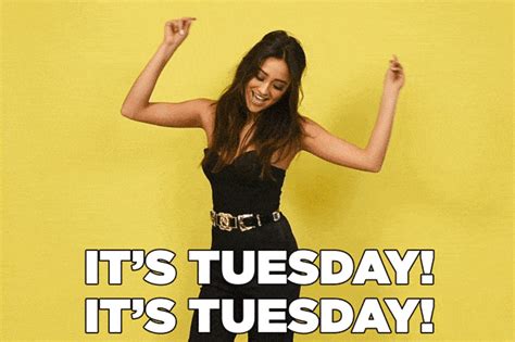 funny tuesday gifs  start  day  humor